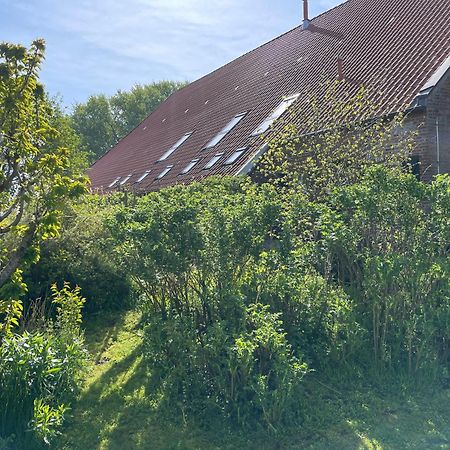 Ferienhof Spiegelhaus Krummhoern Exterior photo