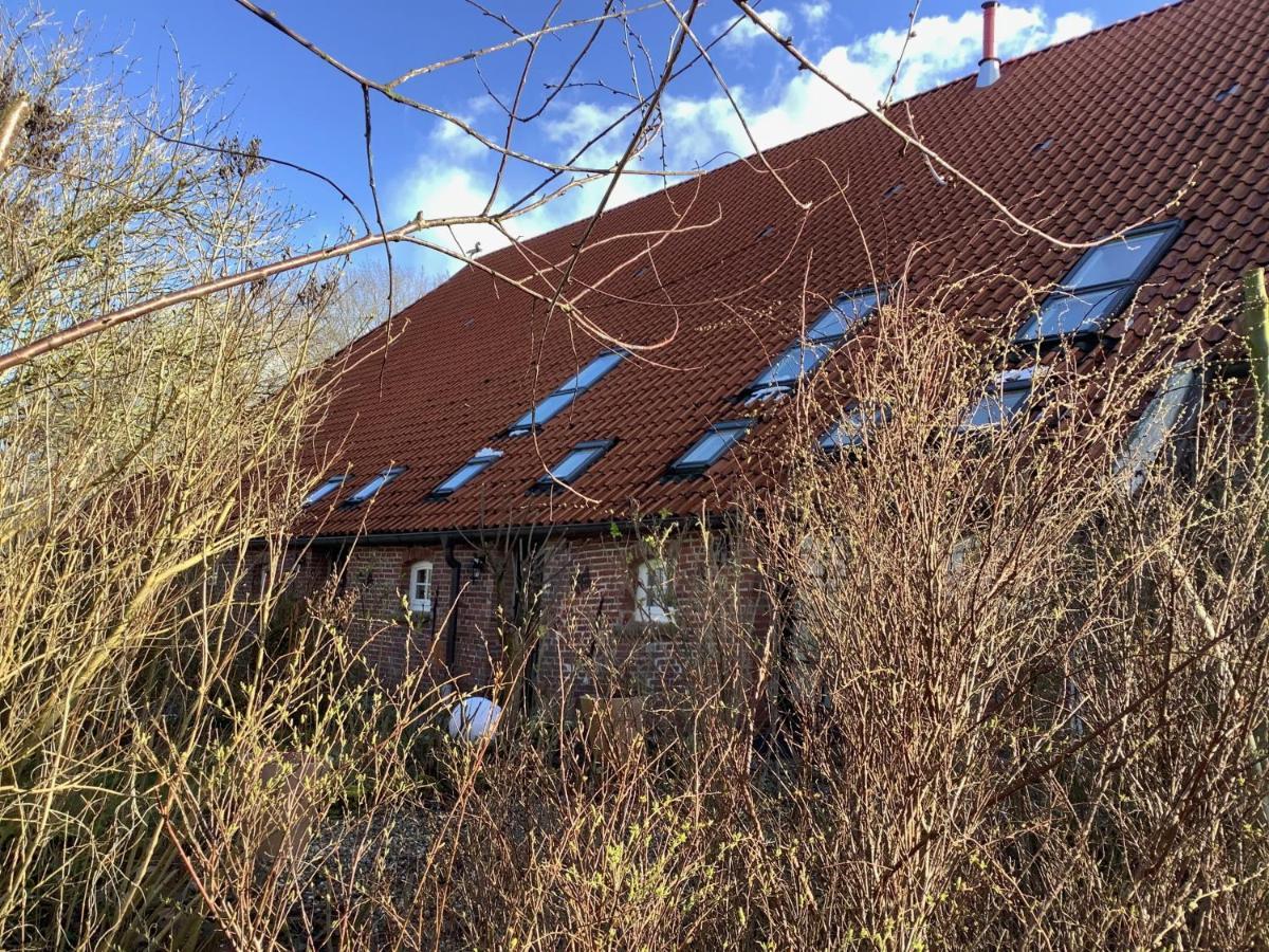 Ferienhof Spiegelhaus Krummhoern Exterior photo
